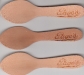 Page Dairy Wooden Ice Cream Spoons (6)