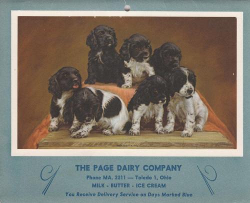 Page-Dairy-Calendar-1954